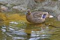 Zoo Straubing_059